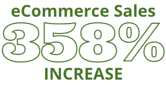 358% increase in monthly ecommerce sales